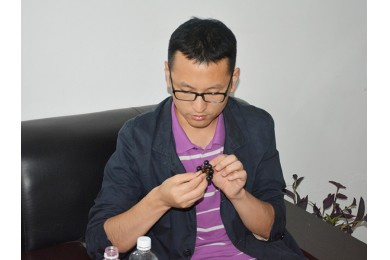 中國農業(yè)大學副教授